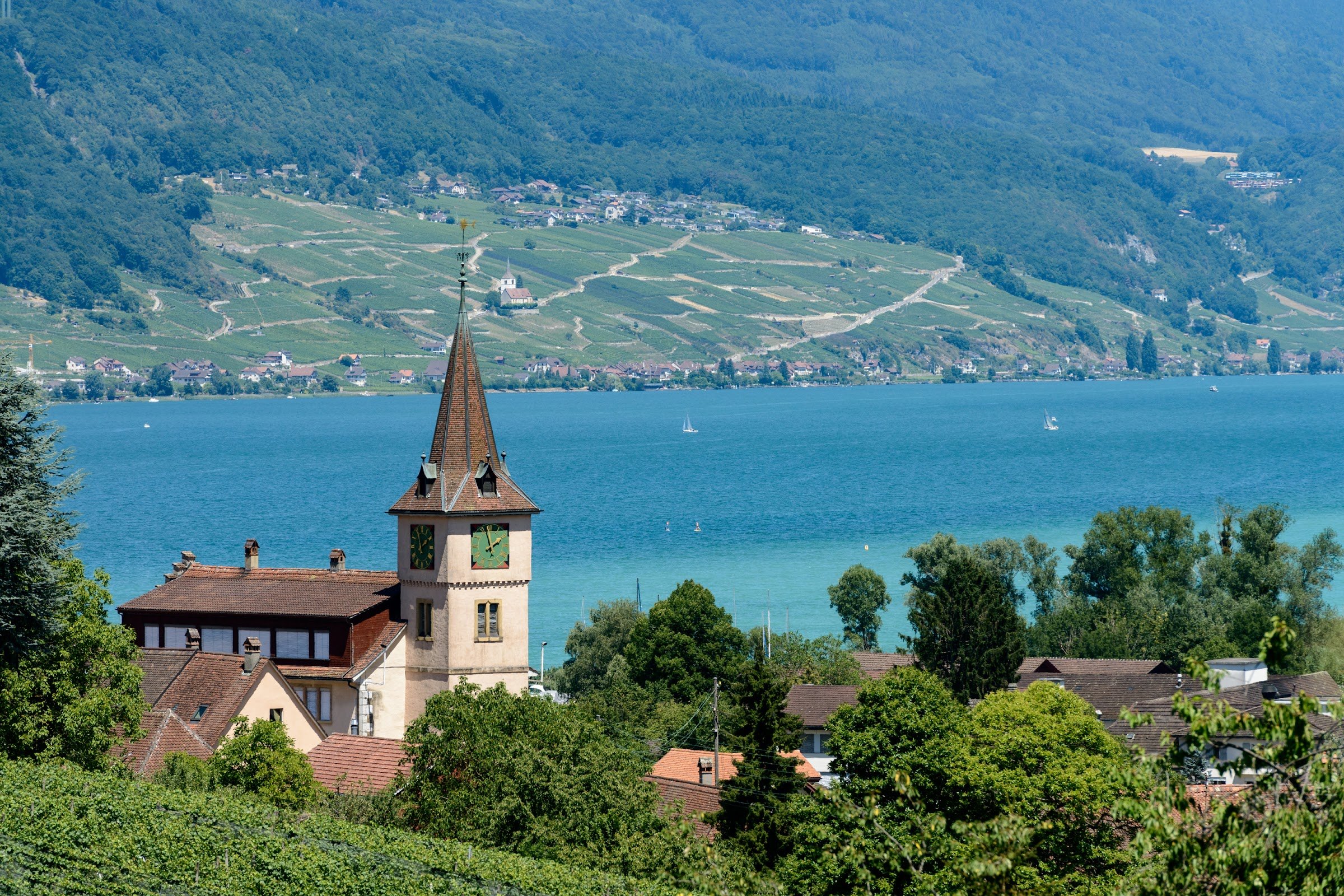 Camping Erlach (Lakeside, Erlach/Bielersee)